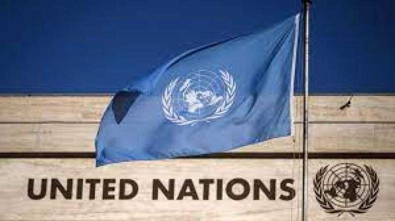 الأمم المتحدة: الهجوم الإسرائيلي على رفح الفلسطينية كارثة إنسانية وسط مجاعة تلوح في الأفق