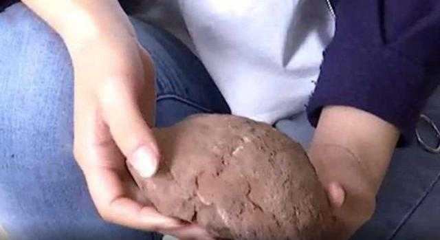 بالصور.. العثور على بيض عمره 145 مليون سنة