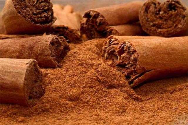 فوائد القرفة للبشرة وحب الشباب والإكزيما