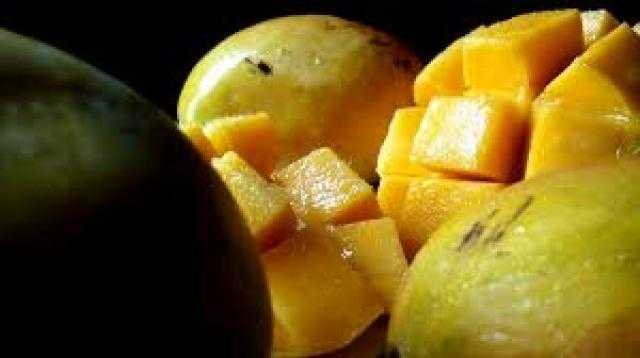 رمضان 2019| مشروب اليوم.. «سموزي المانجو»