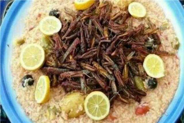 الوجبة بالعملة الصعبة .. طريقة طهي «الجراد» في المنزل بالهنا و الشفا