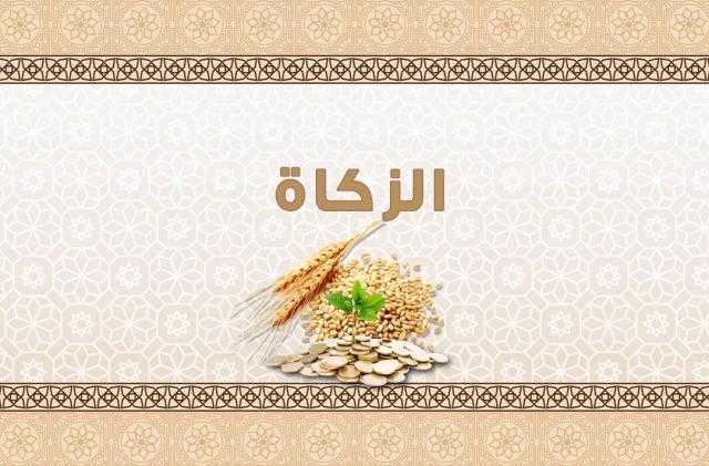 ما حكم زكاة الفطر؟