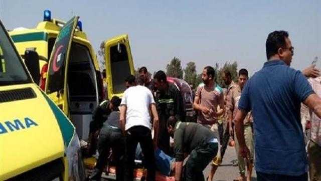 مصرع شخص صدمه توك توك بإحدى قرى الدقهلية