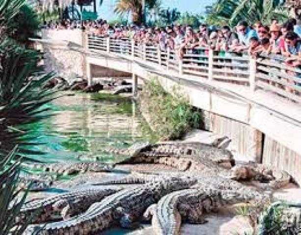 حديقة مخصصة للزواحف العملاقة بالمغرب