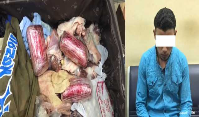 إحباط تهريب طيور «محشية» بـ18 ألف قرص مخدر بالمطار