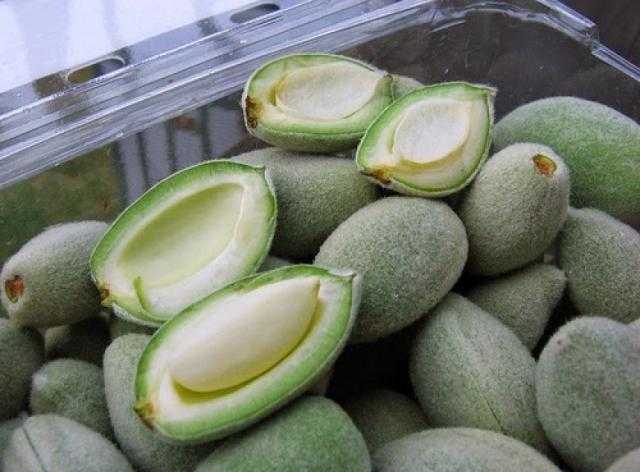 يقوي المناعة ويحميك من أمراض القلب..ما لا تعرفه عن فوائد اللوز الأخضر
