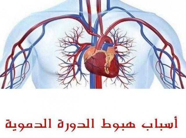 تعرف على أعراض هبوط الدورة الدموية و أسبابها