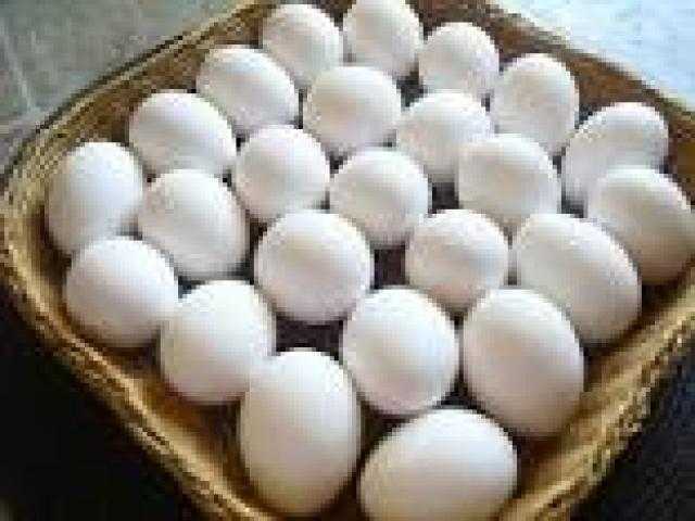 السعودية تمنع استيراد البيض.. اعرف السبب