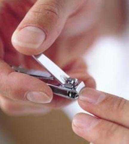 هل يجوز قص الشعر والاظافر للمضحي ..الدكتور عبدالمنعم فؤاد يجيب .. فيديو
