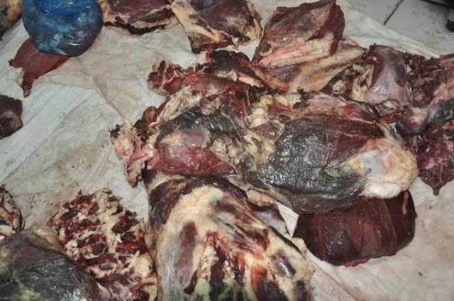ضبط 4 طن لحوم غير صالحة للاستهلاك الآدمي بالبساتين