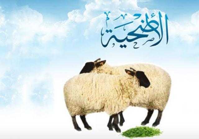 تعرف علي أفضل الأدعية المستحبة عند ذبح الأضاحى