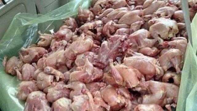 النيابة العامة تأمر بعرض لحوم فاسدة ضبطت في العمرانية على الطب الشرعي
