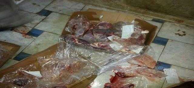ضبط طن ونصف كبدة فاسدة داخل محل بالظاهر