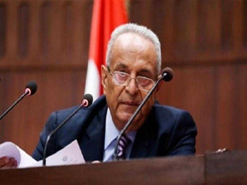 وكيل «الشيوخ»: ترشح الرئيس السيسي لولاية جديدة يحافظ على مقدرات الوطن