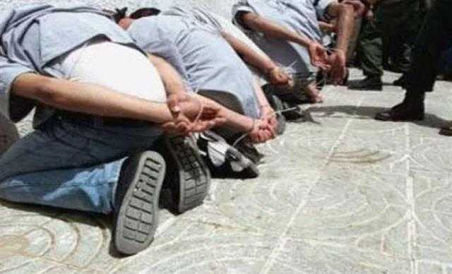 ضبط شركة إنتاج فني بالجيزة تستخدم برامج مقلدة لشركات عالمية