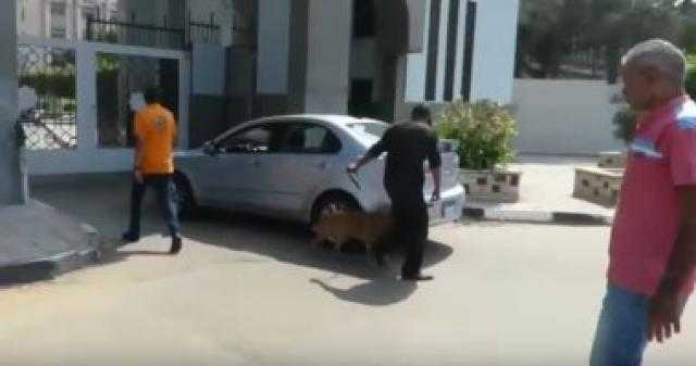 الأمن تلاحق مروجى المخدرات فى محيط الأندية ومراكز الشباب