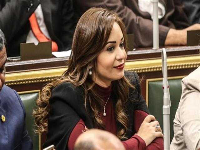 برلمانية تحذر من انتشار الشركات الوهمية على السوشيال ميديا