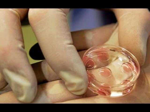 هل يجوز وضع البويضة المخصبة من الزوج بعد وفاته فى رحم زوجته؟ دار الإفتاء تجيب