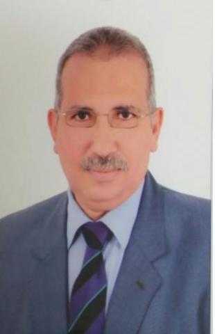 الدكتور عادل عامر يكتب: تدوير المخلفات في توليد الطاقة