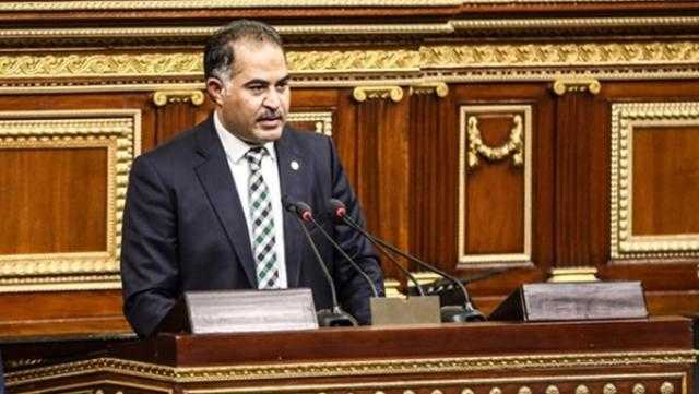 وكيل النواب يعلق على مبادرة السيسي لتسوية الأزمة الليبية
