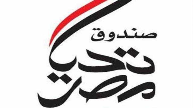 الجالية اليونانية تتبرع لـ تحيا مصر بـ مئتي ألف جنيه لدعم مكافحة كورونا
