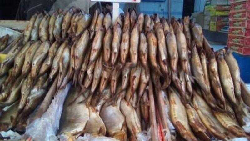 ضبط 2.5 طن أسماك مجهولة المصدر