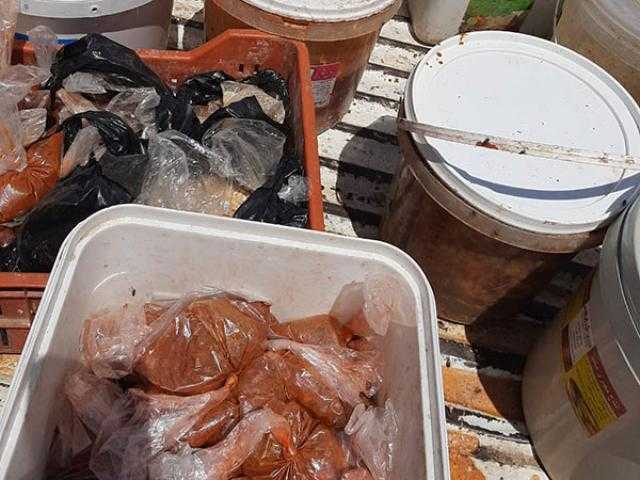 ضبط نصف طن أسماك مملحة غير صالحة للاستهلاك بالأقصر