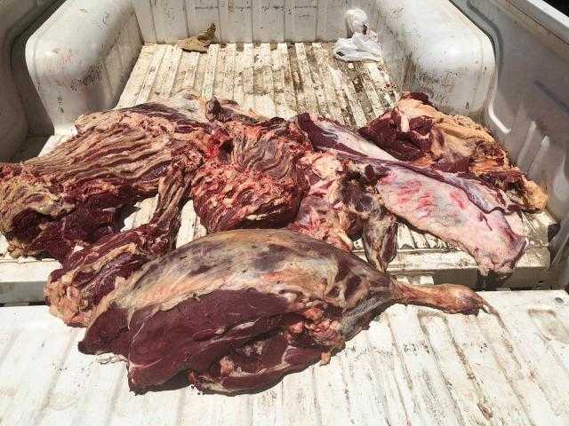 ضبط 80 كيلو لحوم مجمدة منتهية الصلاحية بالغربية