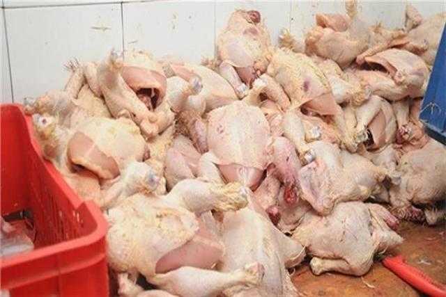 ضبط 2 طن دواجن فاسدة داخل مخزن سلع غذائية