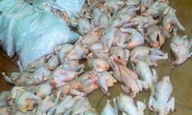 إحالة مدير مصنع للمحاكمة بعد ضبط 4 أطنان هياكل دواجن فاسدة بحوزته بالمرج