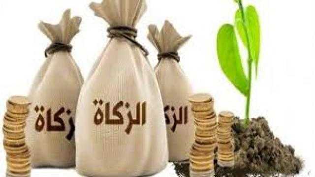 إنفوجراف.. لجنة الفتوى توضح 5 أحكام شرعية متعلقة بإخراج زكاة الفطر