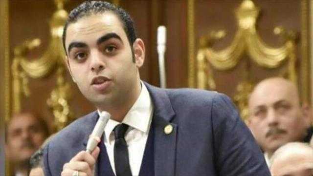 برلماني عن «إعلان القاهرة»: يدفع عجلة الإنتاج للعمل في أجواء من الأمن والاستقرار