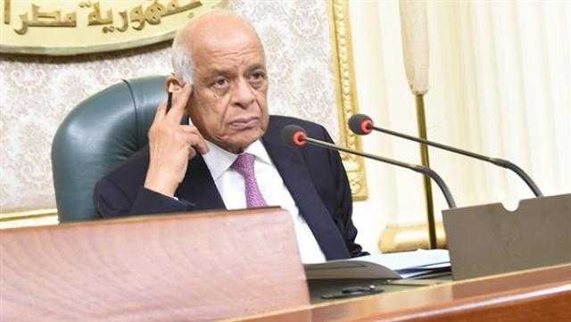 عبدالعال: لا توجد قاعدة حاكمة لـ”الوزن النسبي” للدوائر