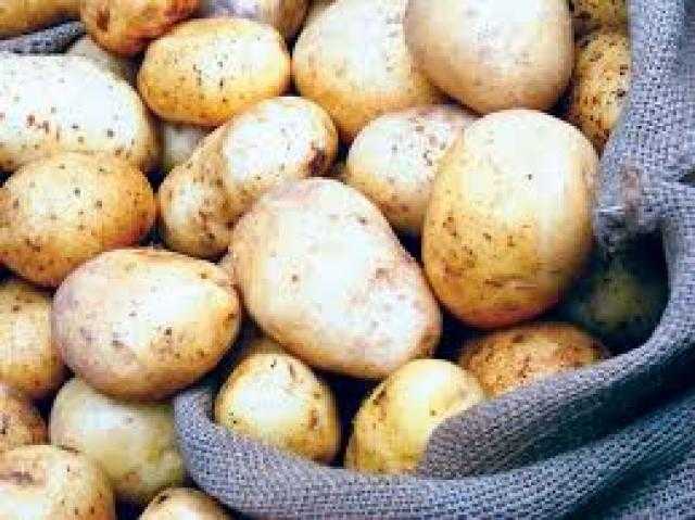 «الفلاحين» تفند أسباب انهيار أسعار البطاطس