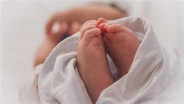 موظف يتهم طبيبا ببتر العضو الذكري لنجله أثناء ختانه في القليوبية