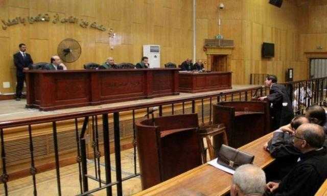 نظر دعوى وقف التحفظ على أموال ”كريستال عصفور” 12 يوليو