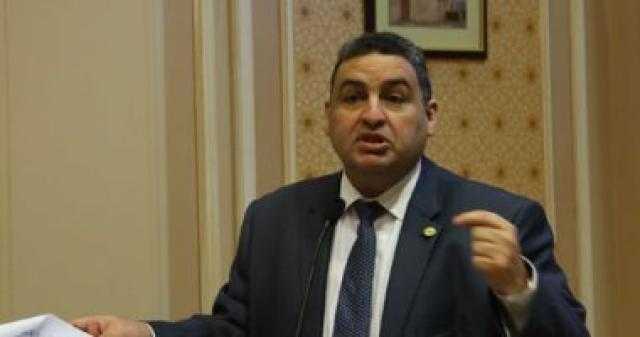 برلماني: نثق في إدارة السيسي لملف ليبيا وإثيوبيا