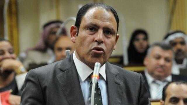 رياض عبد الستار: نقف خلف القيادة السياسية للحفاظ على أمن مصر القومي