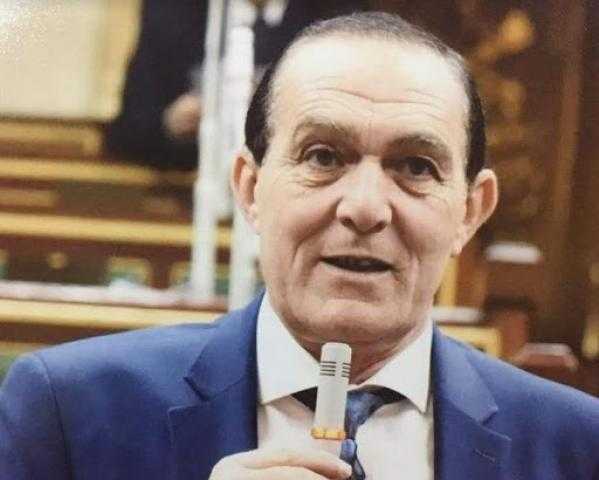 نافع هيكل: تصريحات السيسي رسالة واضحة لكل من يحاول المساس بالأمن القومي لمصر