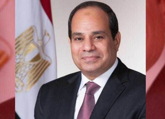 برلماني: السيسي أنقذ مصر من الضياع