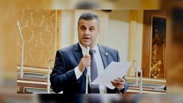 برلماني: ثورة 30 يونيو وضعت مصر بين الدول الديمقراطية