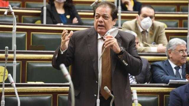 أبو العينين: مصر تخوض معركة على عدة جبهات