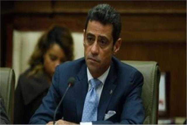 نائب: مصر قدمت خارطة طريق لإنقاذ ليبيا من الغزو التركي