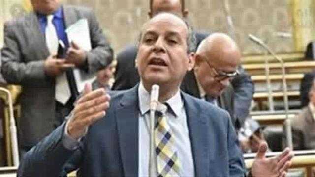برلماني يطالب التونسيين بإنقاذ وطنهم من الإخوان
