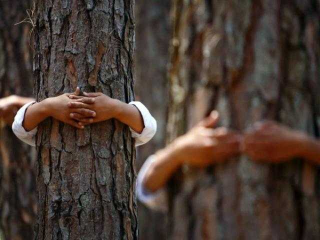 إسرائيل تواجه كورونا بعناق الأشجار (صور)
