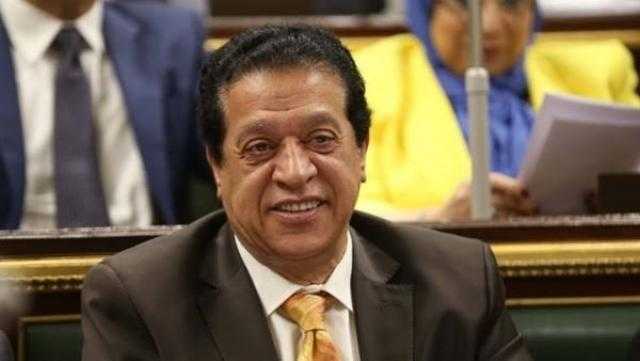 برلماني: مصر لن تقف مكتوفة الأيدي أمام الاعتداء على أمنها القومي
