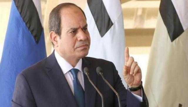 تحالف الأحزاب المصرية يفوض السيسي في حماية الأمن القومي