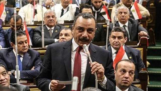 إيهاب الطماوي: نواب الشعب انحازوا للقوات المسلحة دفاعًا عن الأمن القومي