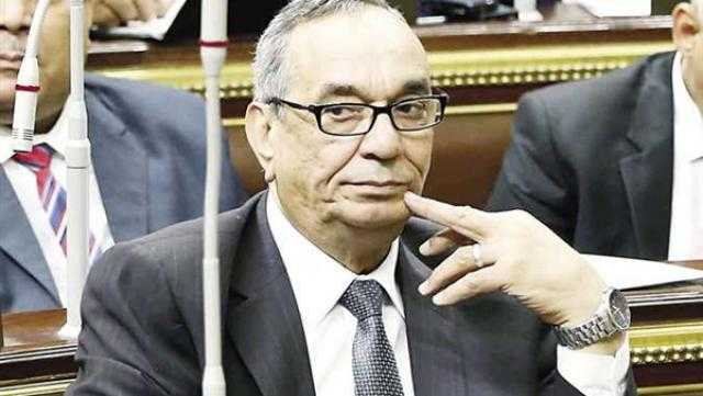 «الكدواني»: ما يحدث في ليبيا أكبر من تركيا وهناك دول كثيرة تعبث بالمنطقة