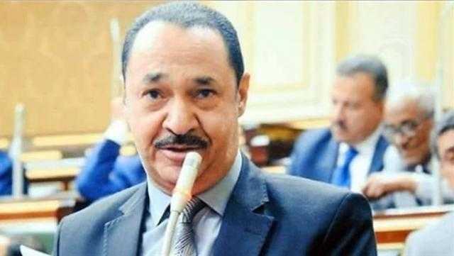 برلماني: عودة مجلس الشيوخ تسهم في توسع التمثيل النيابي